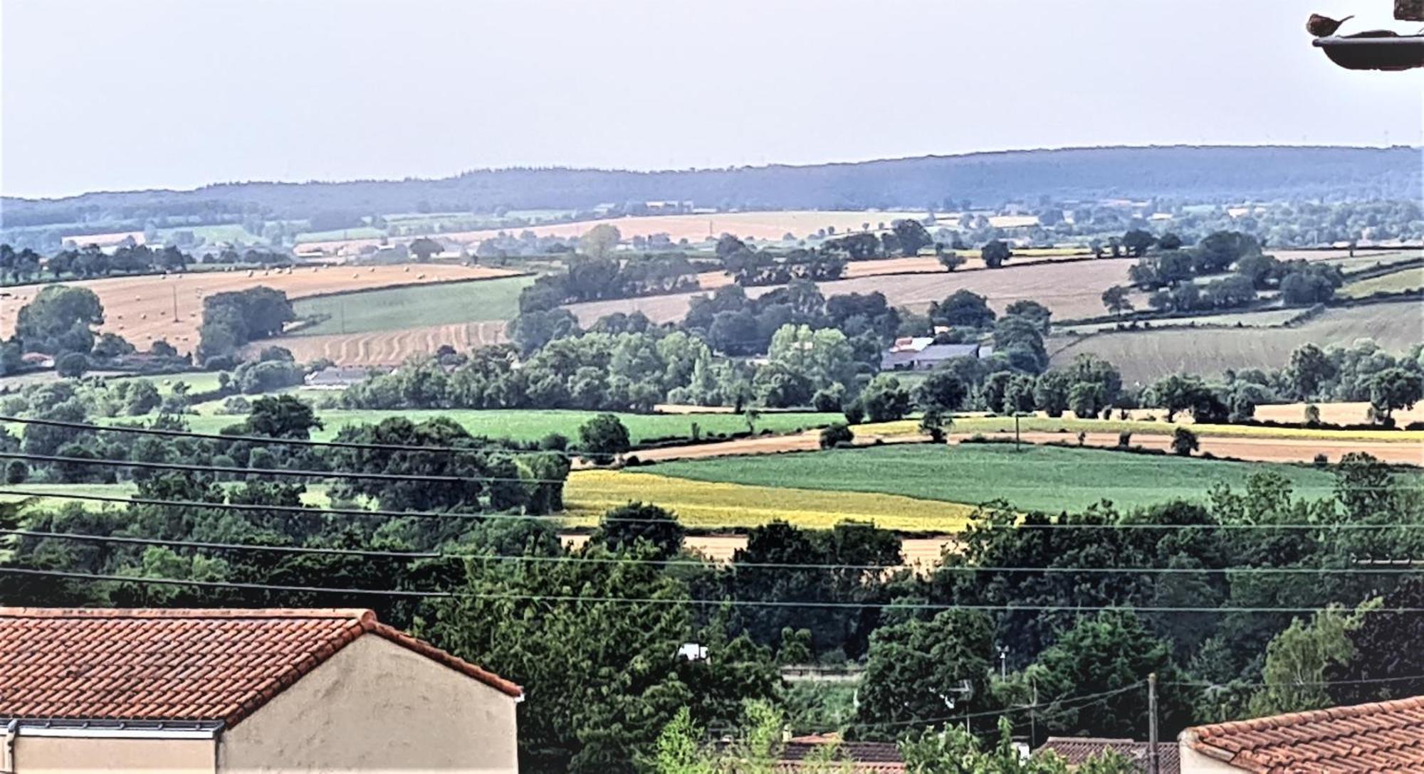 Le 120 - Groupe Logis Hotels - Ex Auberge La Terrasse La Châtaigneraie Exteriör bild